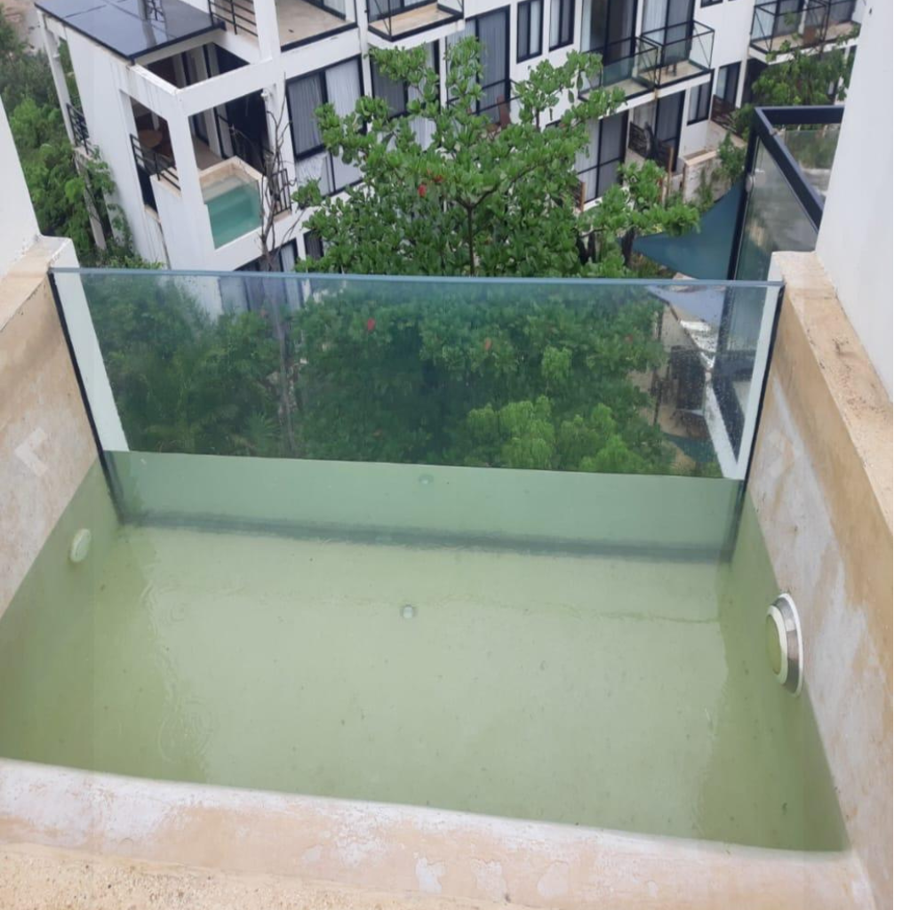 Diseño sin título (80)