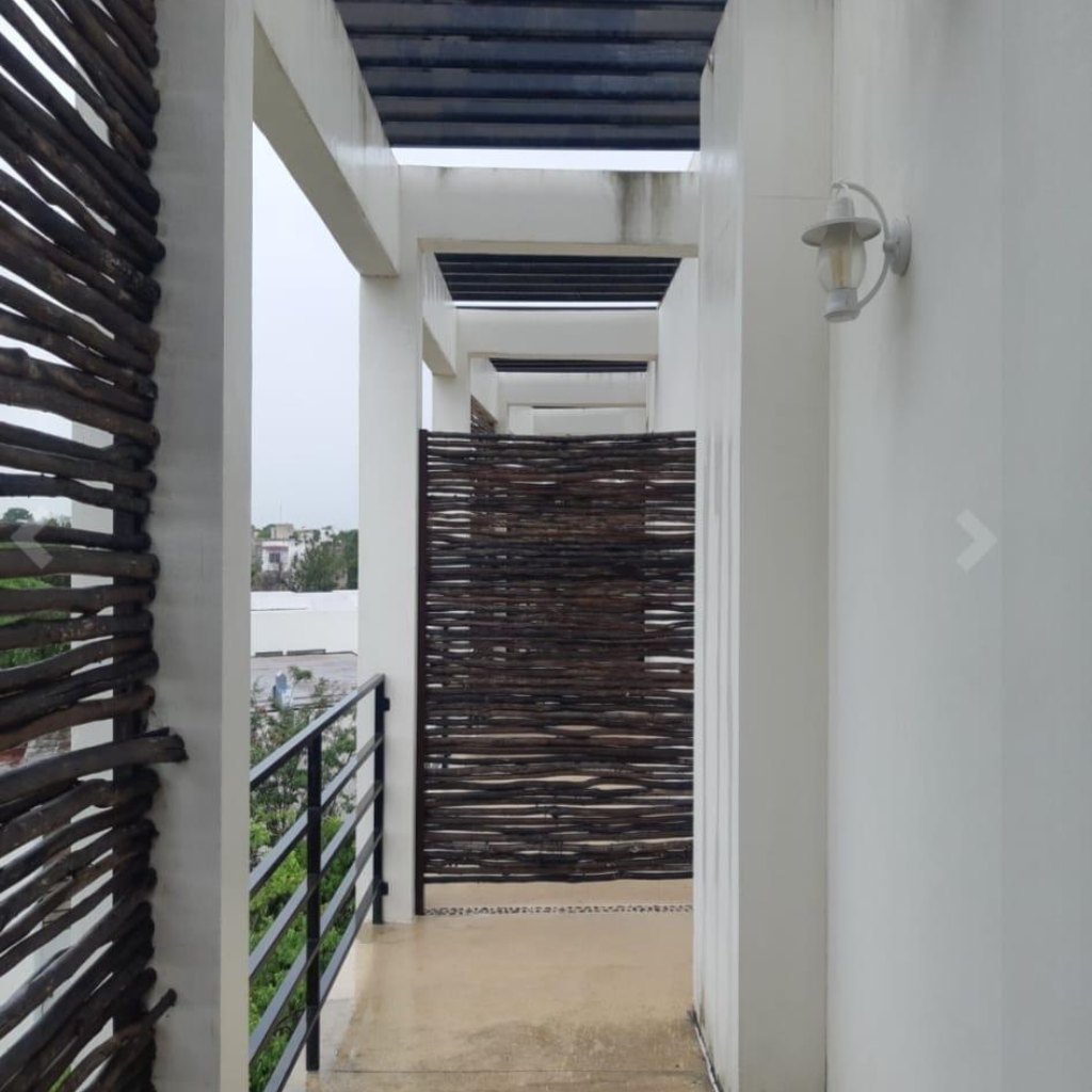 Diseño sin título (81)