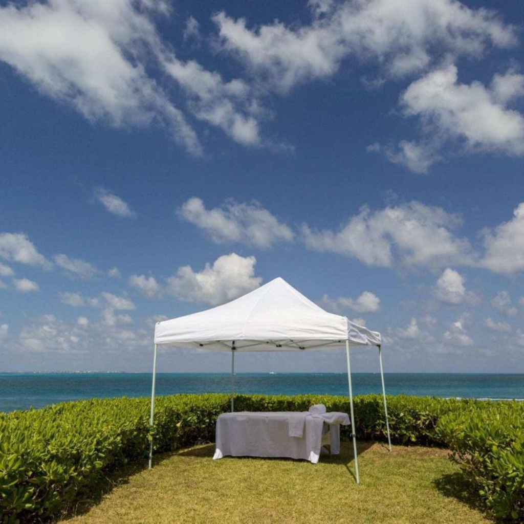 Diseño sin título - 2025-11-09T200707.016