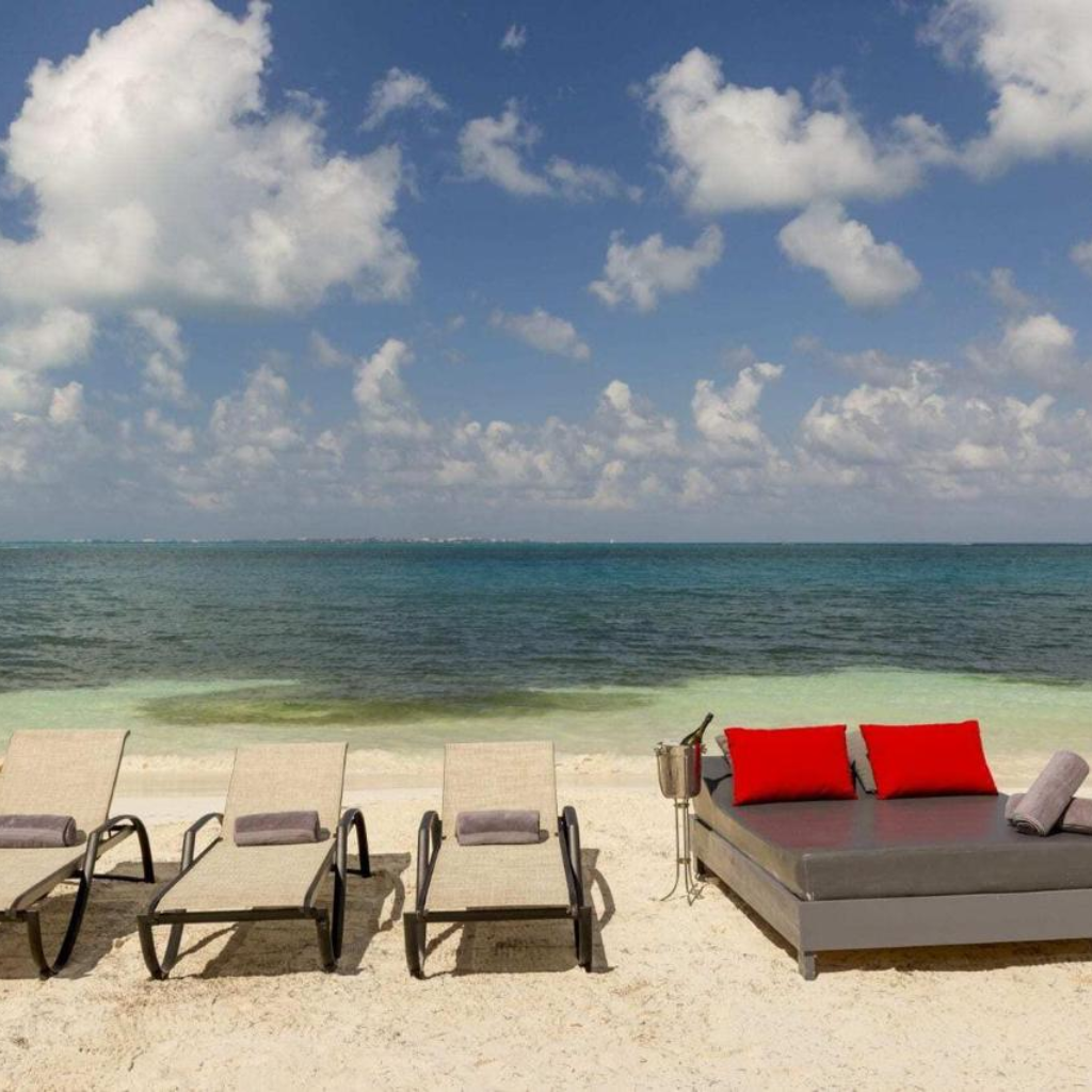 Diseño sin título - 2025-11-09T201101.196