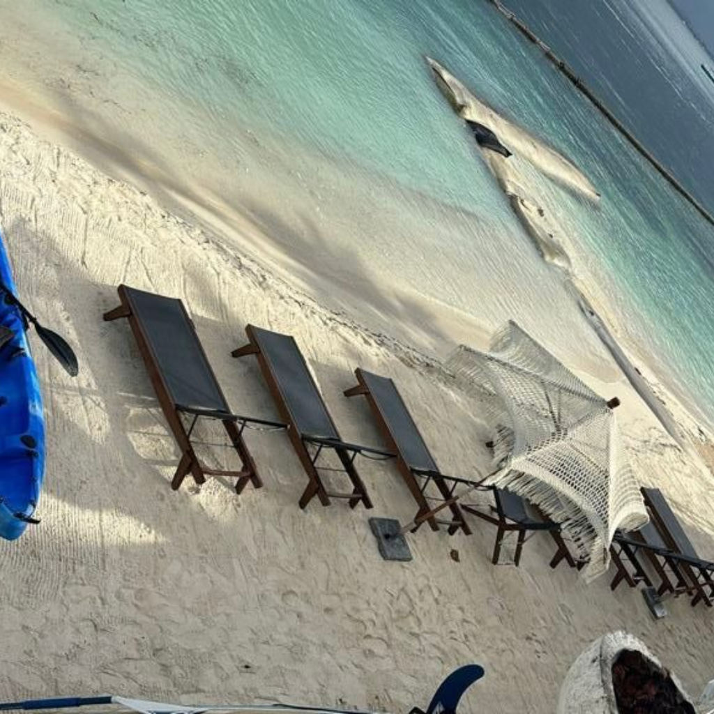 Diseño sin título - 2025-11-09T202237.608