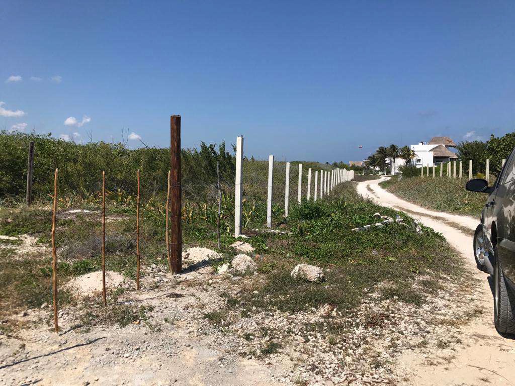 Inspiración Desarrollo