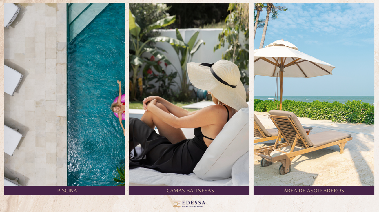 Alejandría Áreas asoleadero